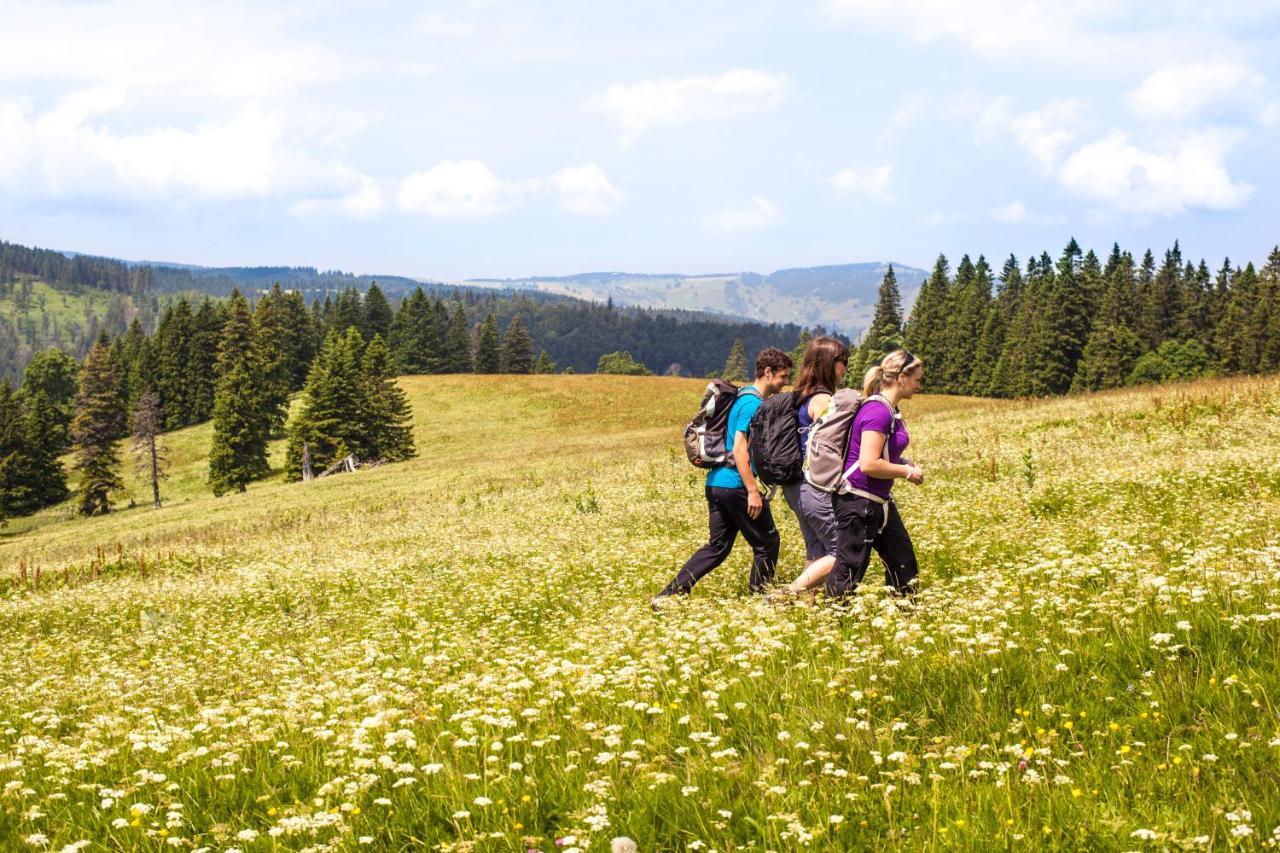 Ferienhotel Schwarzwaelder Hof Feldberg  Zewnętrze zdjęcie