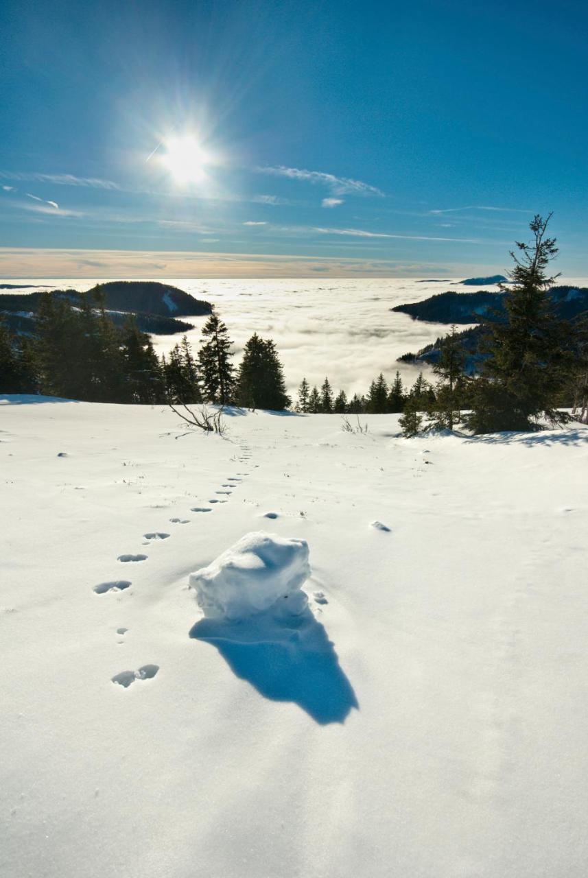 Ferienhotel Schwarzwaelder Hof Feldberg  Zewnętrze zdjęcie