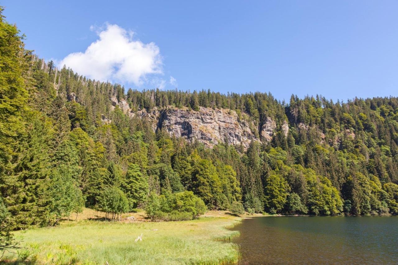 Ferienhotel Schwarzwaelder Hof Feldberg  Zewnętrze zdjęcie