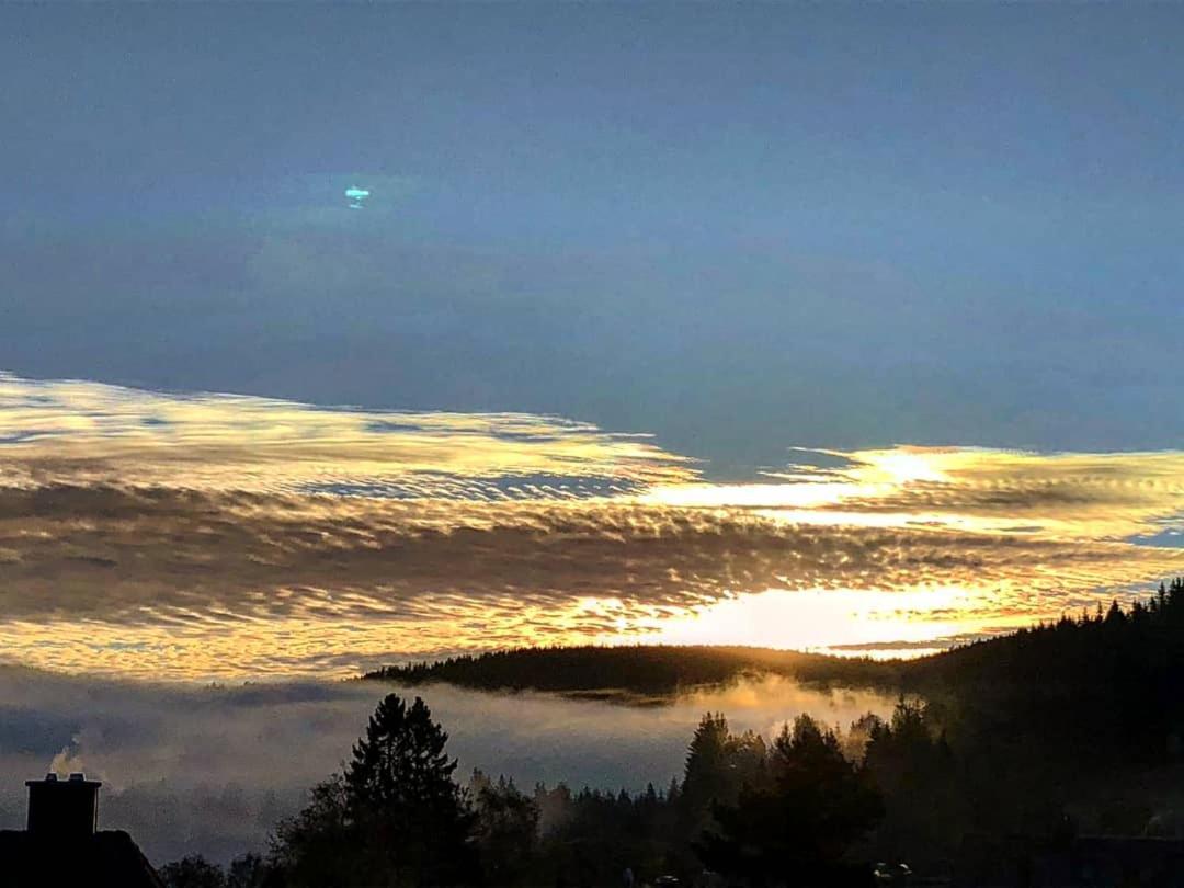 Ferienhotel Schwarzwaelder Hof Feldberg  Zewnętrze zdjęcie